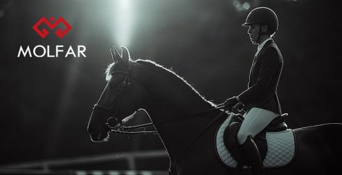 Molfar Group – Developer of the Automation System for an Equestrian-Sports School